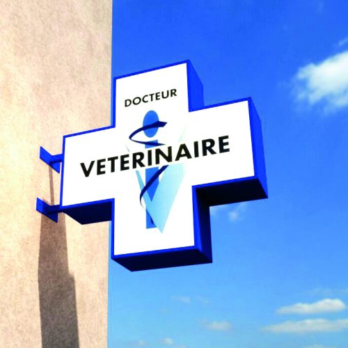 enseigne-drapeau-croix-vétérinaire-jour