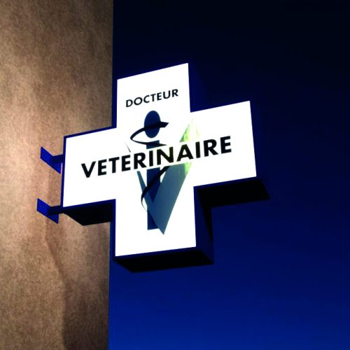 enseigne-drapeau-croix-vétérinaire-nuit