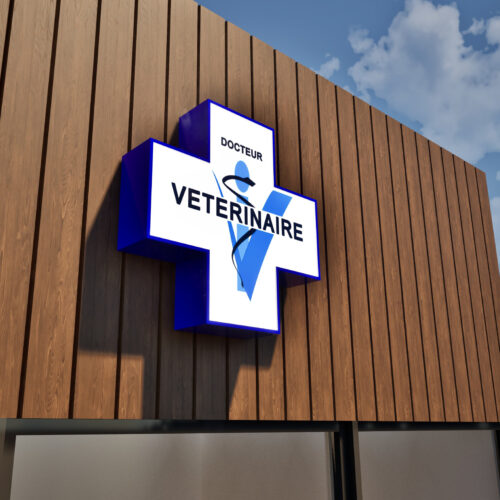 Rendu Croix Vétérinaire - Jour